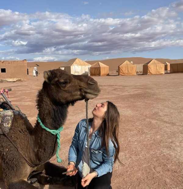 Highlights of Morocco 12 days