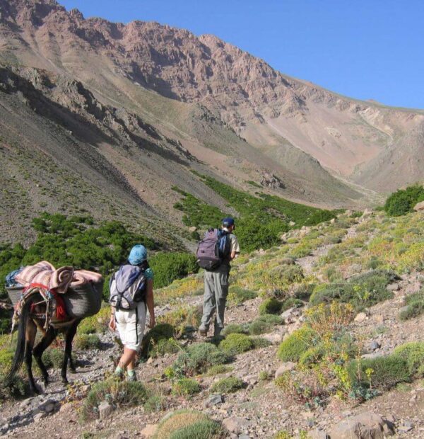 Atlas Mountains Hiking & Berber Villages Tour – 3 Days / 2 Nights