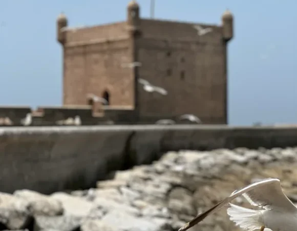 Essaouira Coastal Day Trip