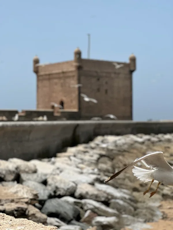 Essaouira Coastal Day Trip